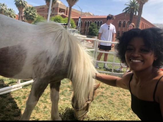 Student with miniature horse