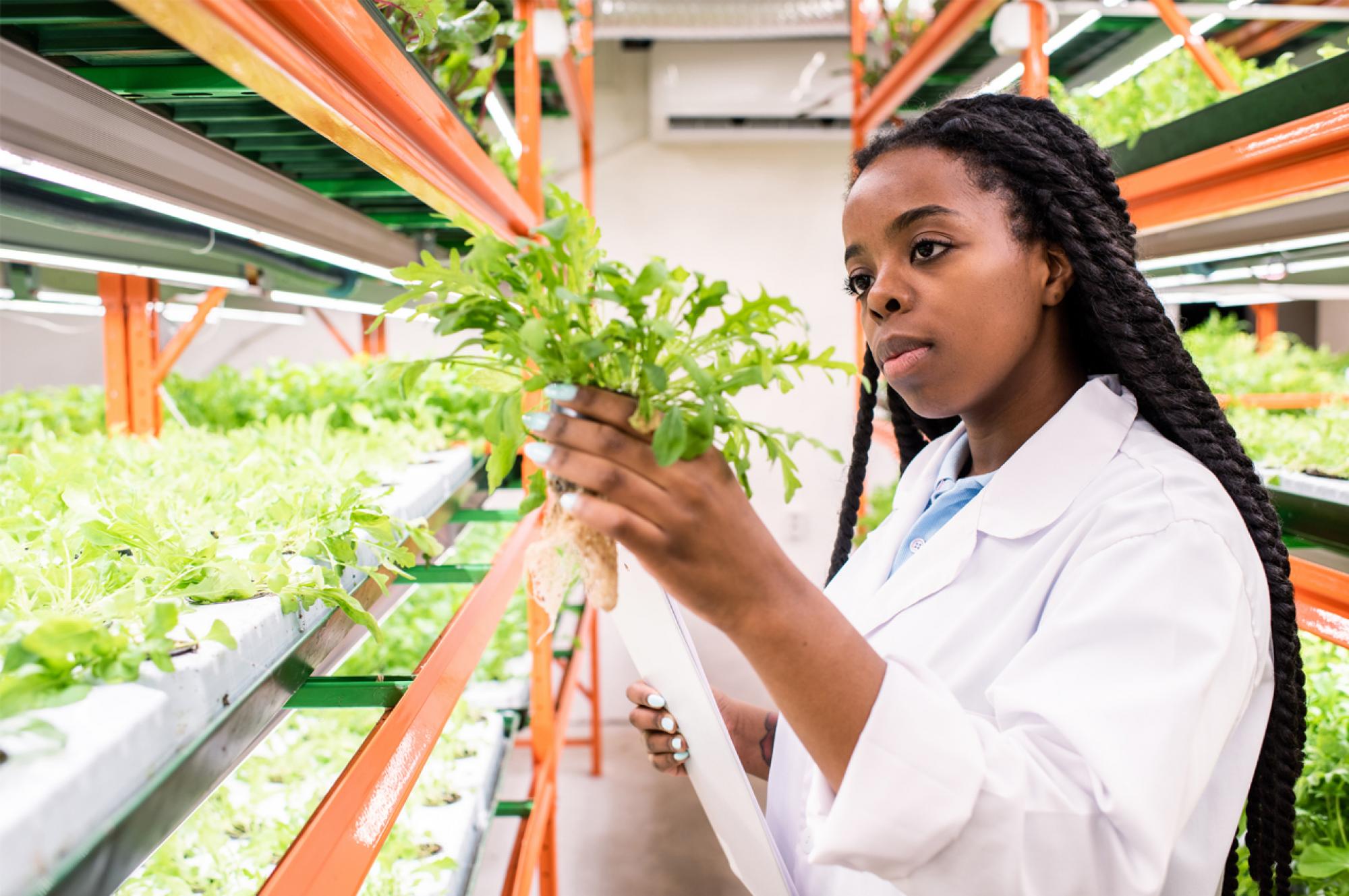 A student examines a plant in a lab. 