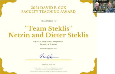 Team Steklis Award