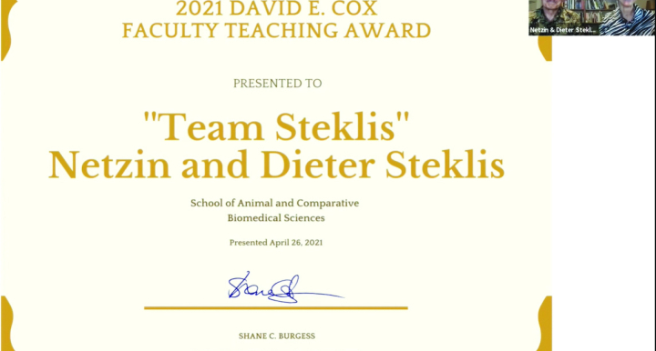Team Steklis Award