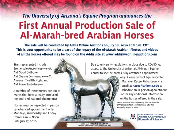 2020 Al Marah Sale