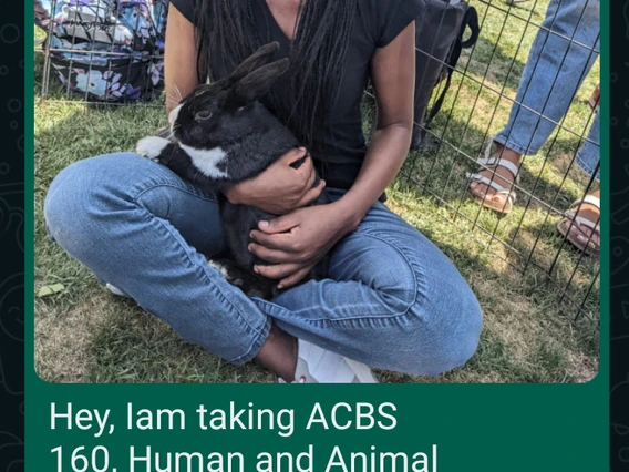 Student holding rabbit