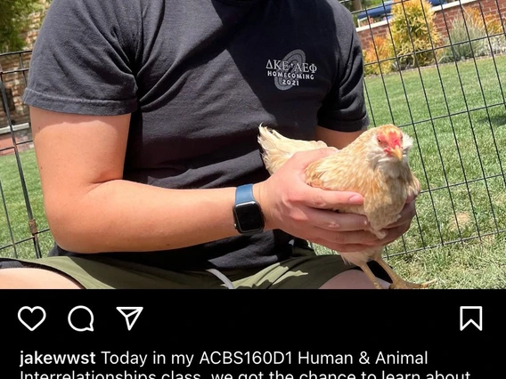 Student holding chicken