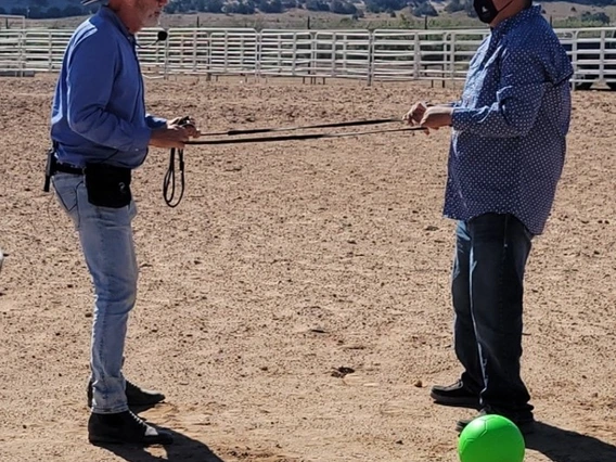 two men facing each other holding reins