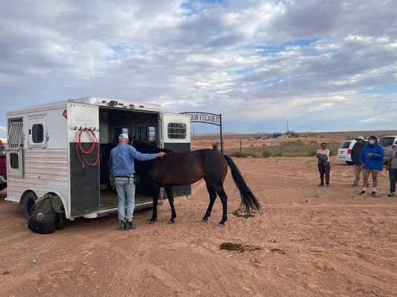man teaching horse to enter trailer
