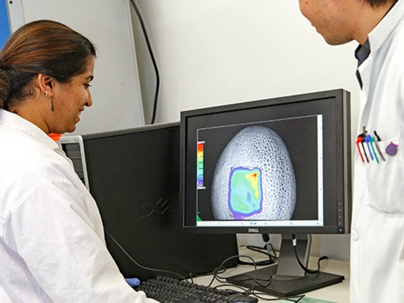 Scientists from the Food Testing Lab view a microscope image on a computer monitor.