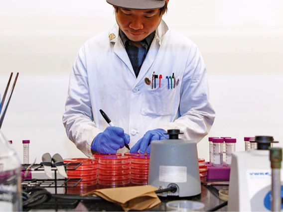 A microbiology student in a lab