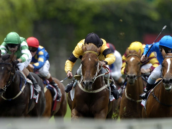 Horse racers competing on a track.