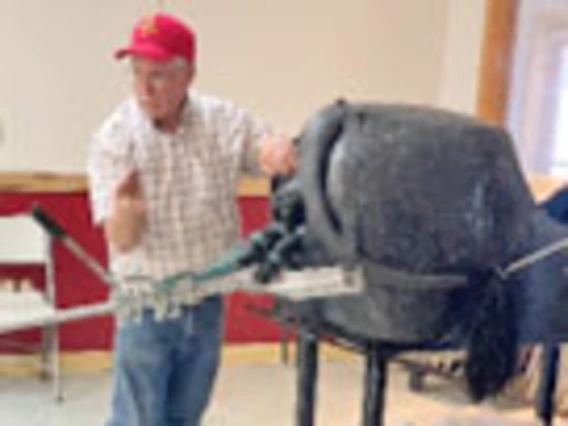 Veterinarian with cow training model