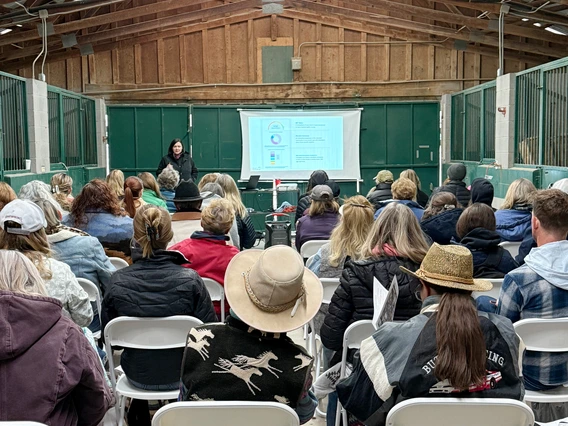 View of audience in breeding barn