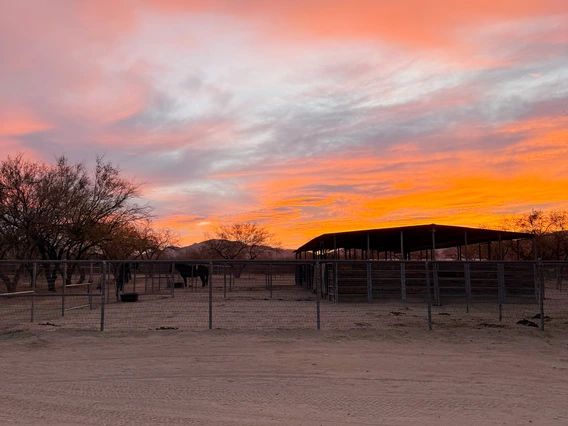 Sunrise at Al-Marah