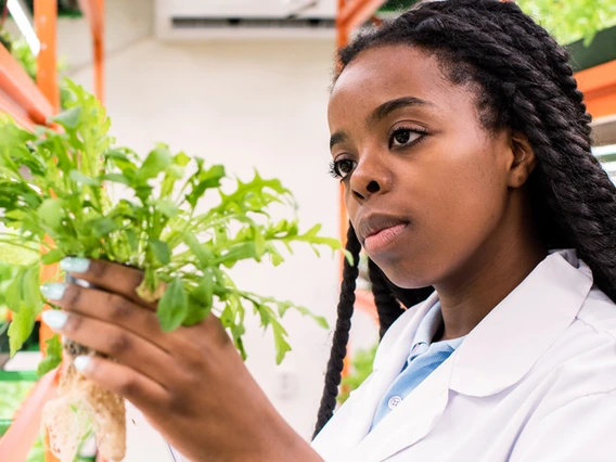 A female student studies a plant in a lab.