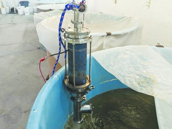 photocatalyst