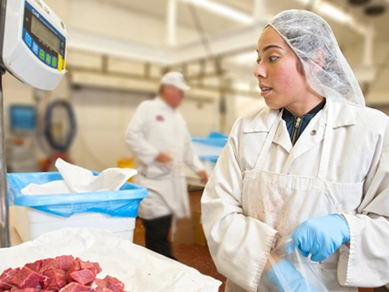 A student in hairnet, gloves and coat processing meat