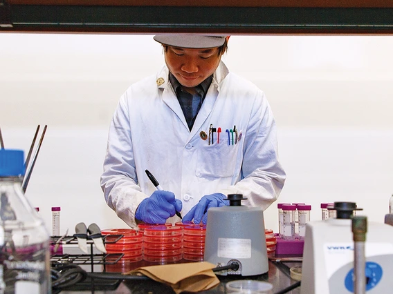 Microbiology student working in a lab.