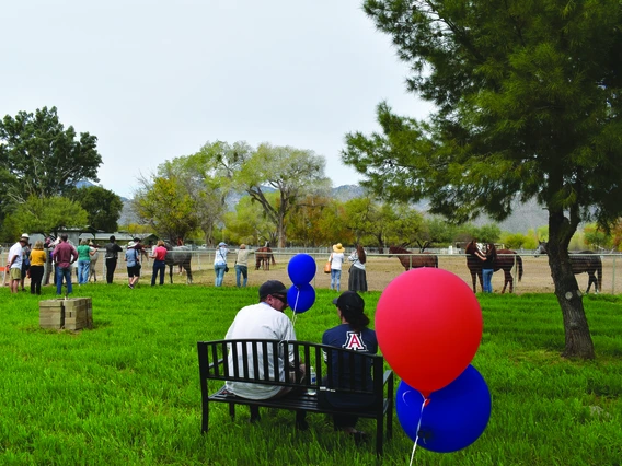 People walking between horse pens