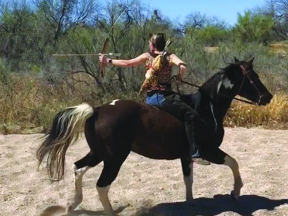 Netzin Steklis on horse