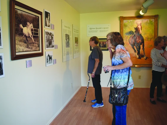 woman looking at horse portrait