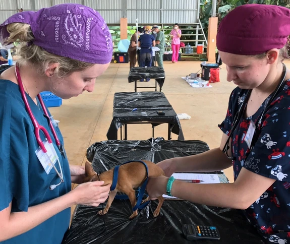 Two veterinary students treating a puppy