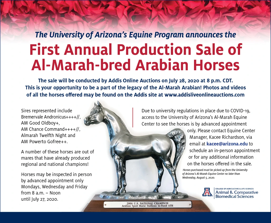 2020 Al Marah Sale