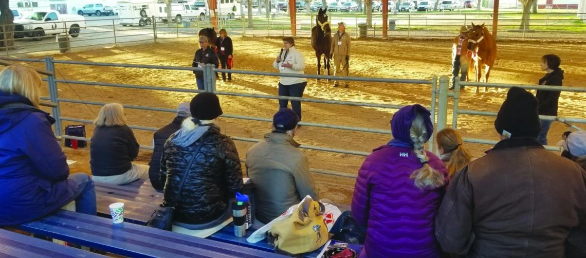 horse symposium event at CAC