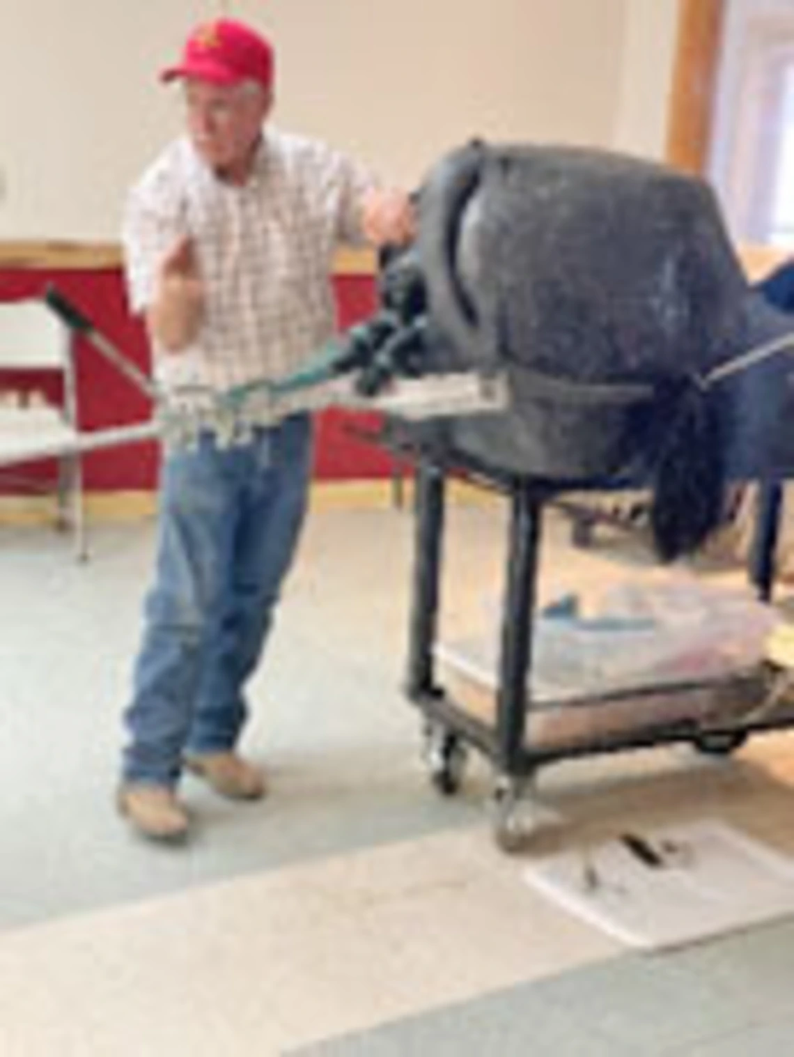 Veterinarian with cow training model