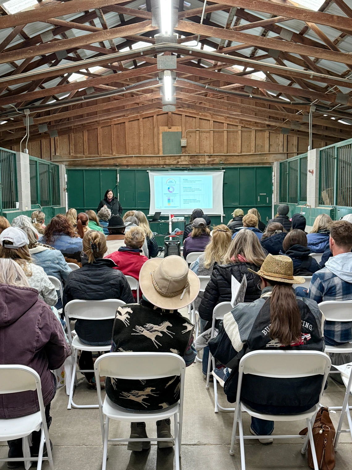 View of audience in breeding barn