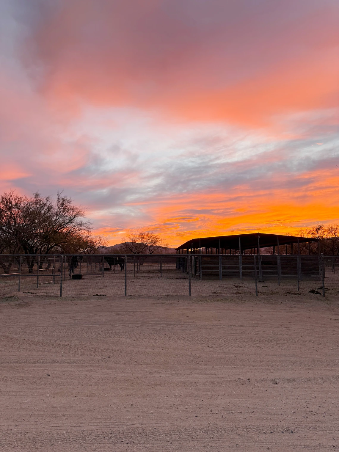Sunrise at Al-Marah