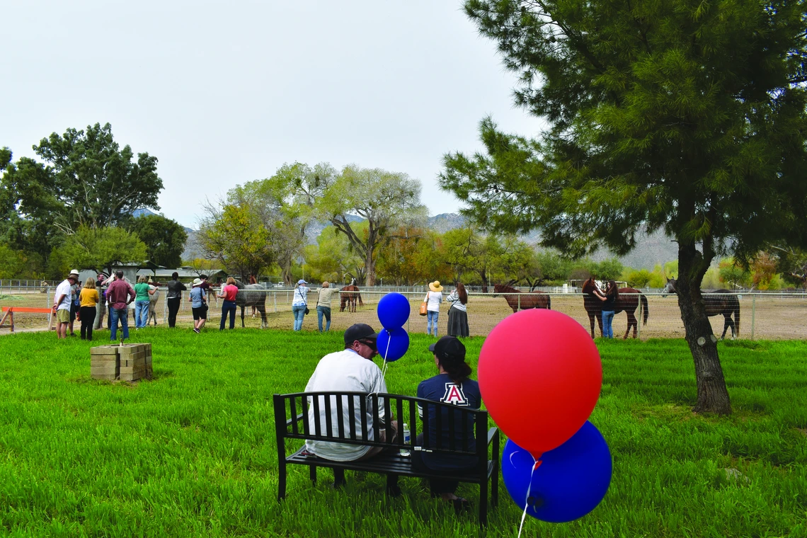 People walking between horse pens