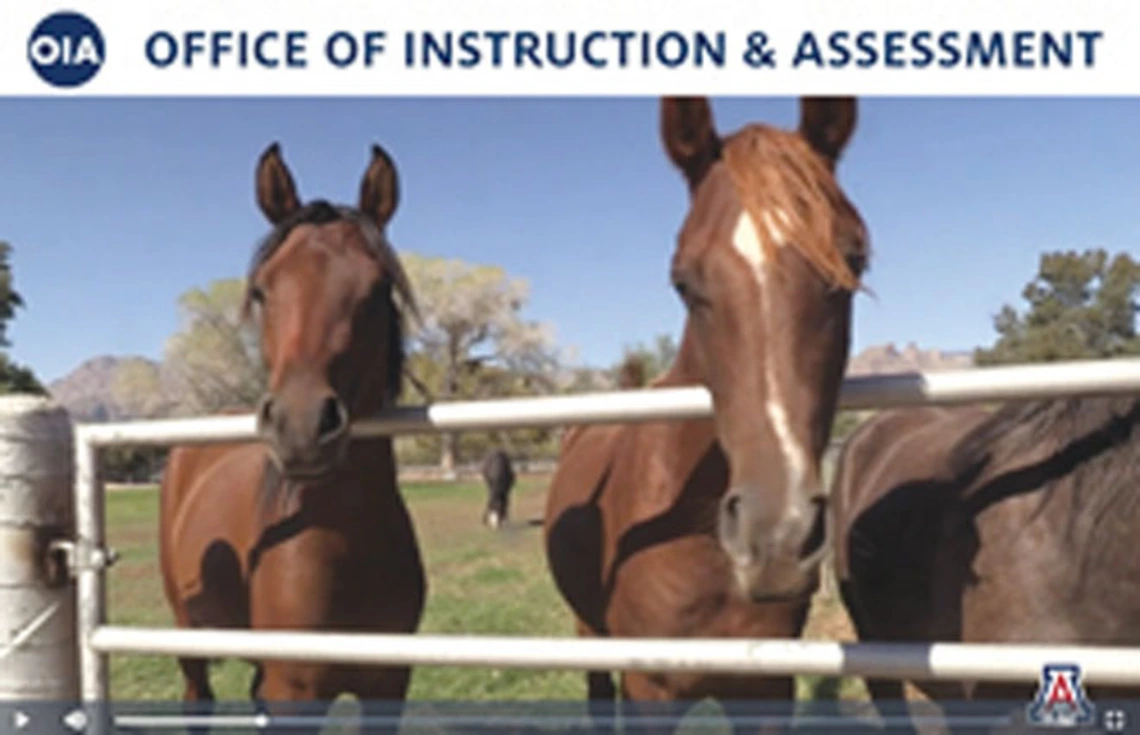 two horses in corral